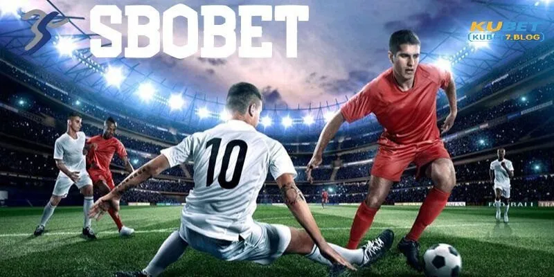 Các ưu điểm nổi trội của sbobet kubet